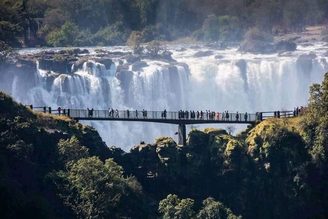 Traverse Zambia Safaris Limited