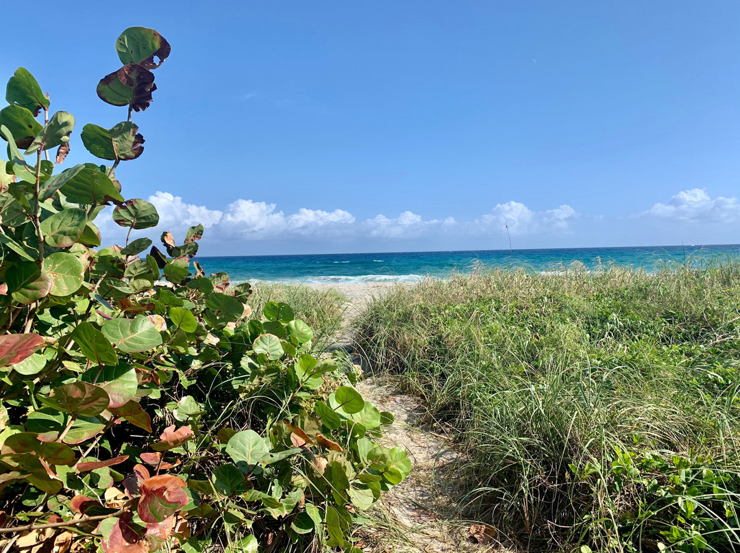 Sun Dek Beach House主图