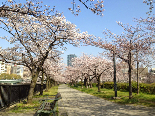 毛马樱之宫公园-大阪市必去景点