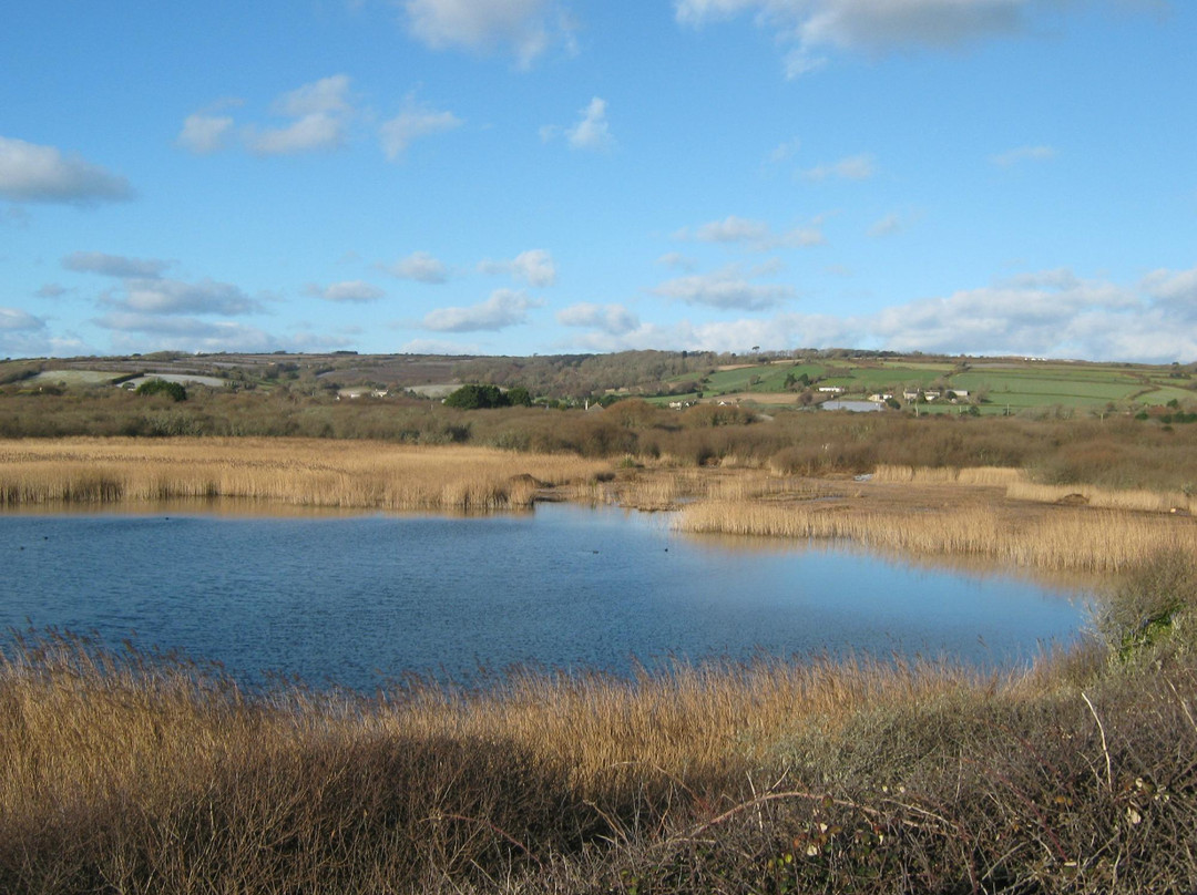 Marazion Marsh景点图片