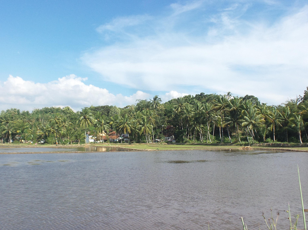 Rajapolah旅游攻略图片