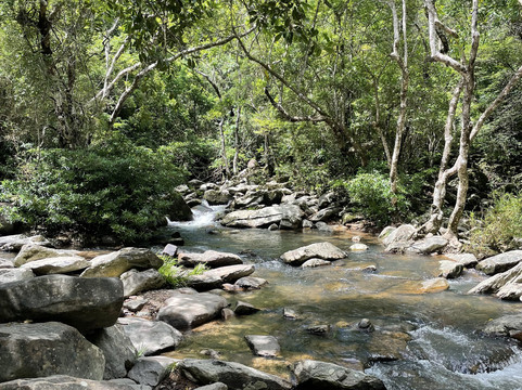 新娘潭自然教育径-香港必去景点