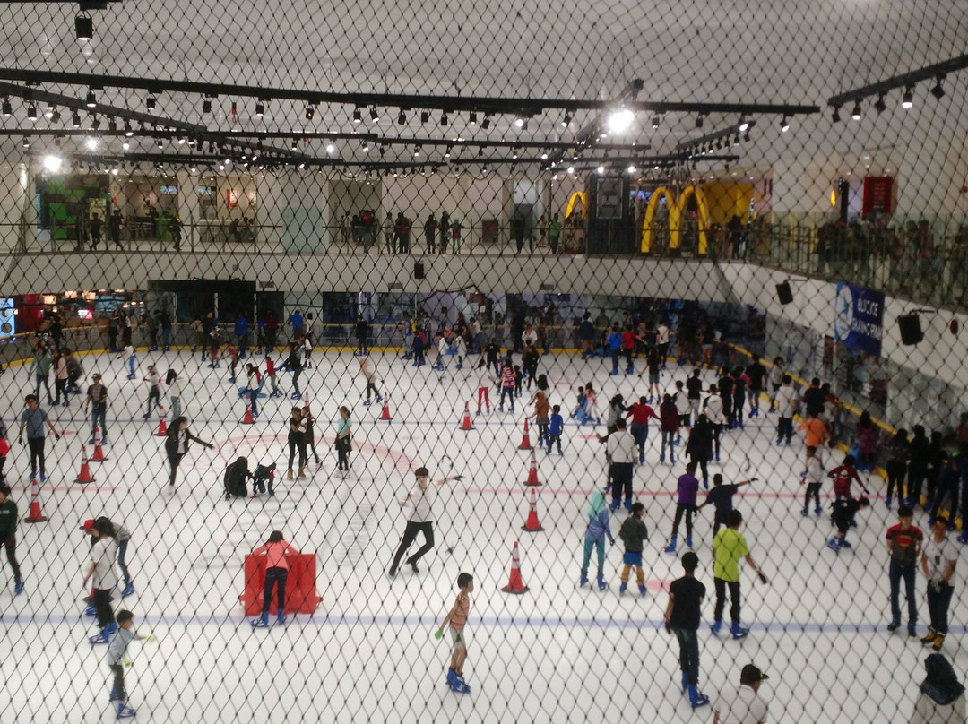 Blue Ice Skating Rink景点图片