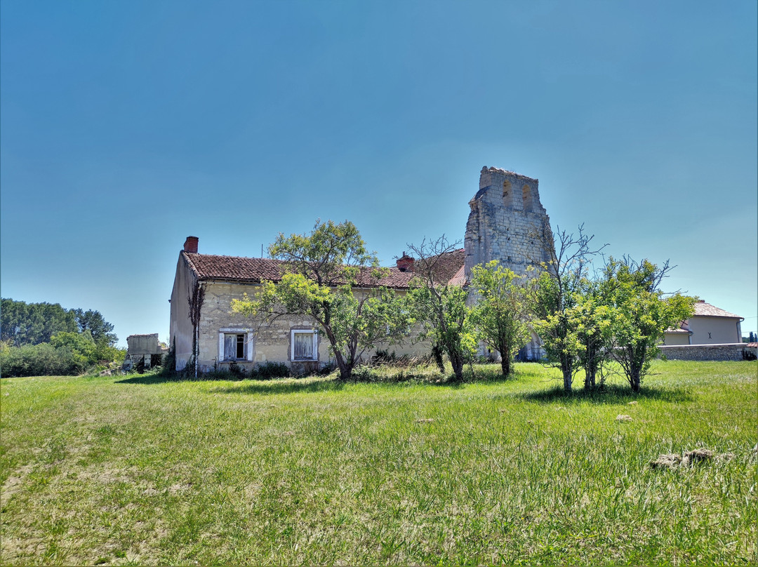 Ancienne Église Sainte-Catherine景点图片