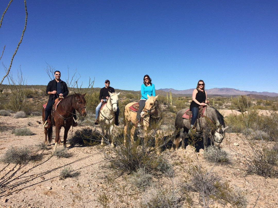 Arizona Horse Company-Wickenburg必去景点