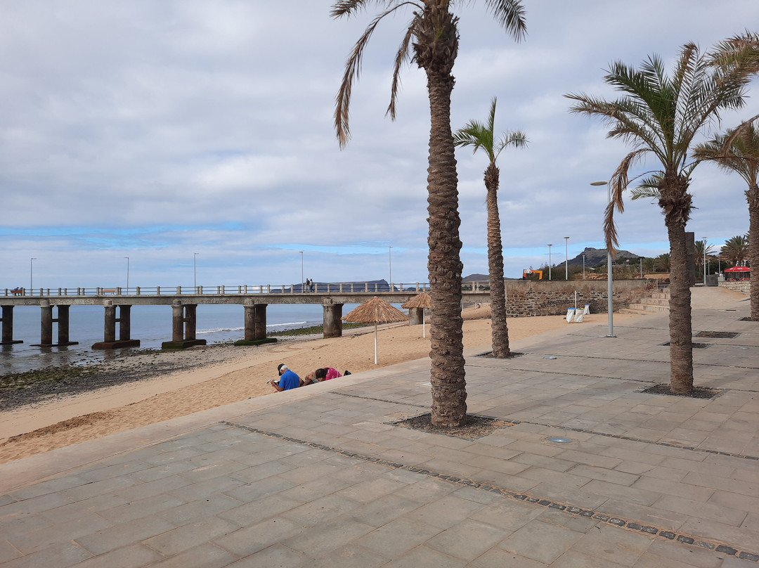 Jardim do Passeio Marítimo景点图片