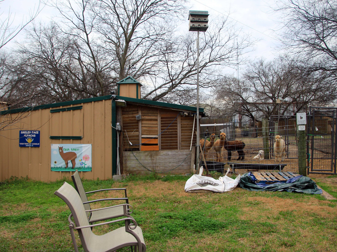 Old Irish Inn / Alpaca Inn主图