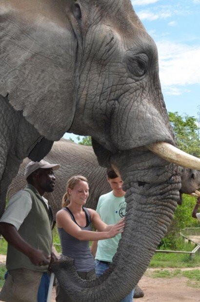 Africabig5safaris, Tours and Adventures景点图片