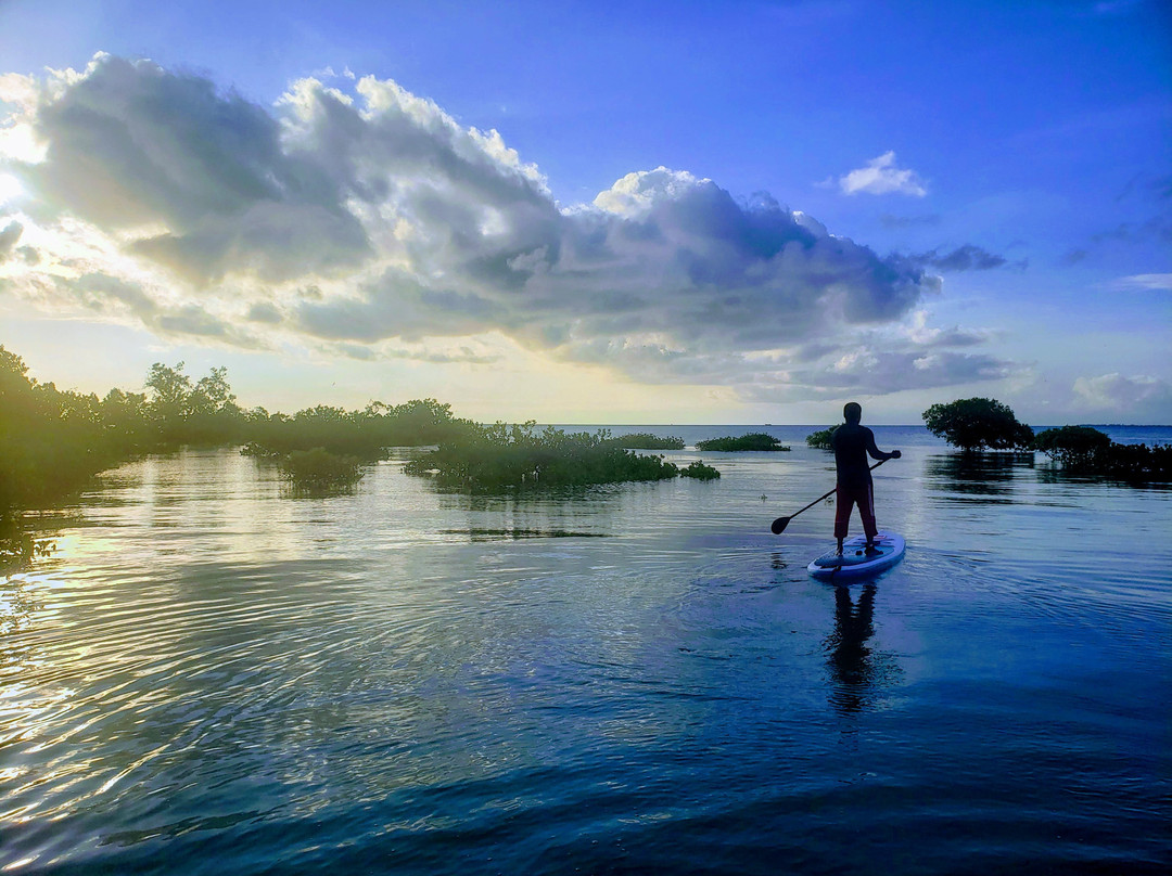 2 Winds Paddle Sports-桑给巴尔市必去景点
