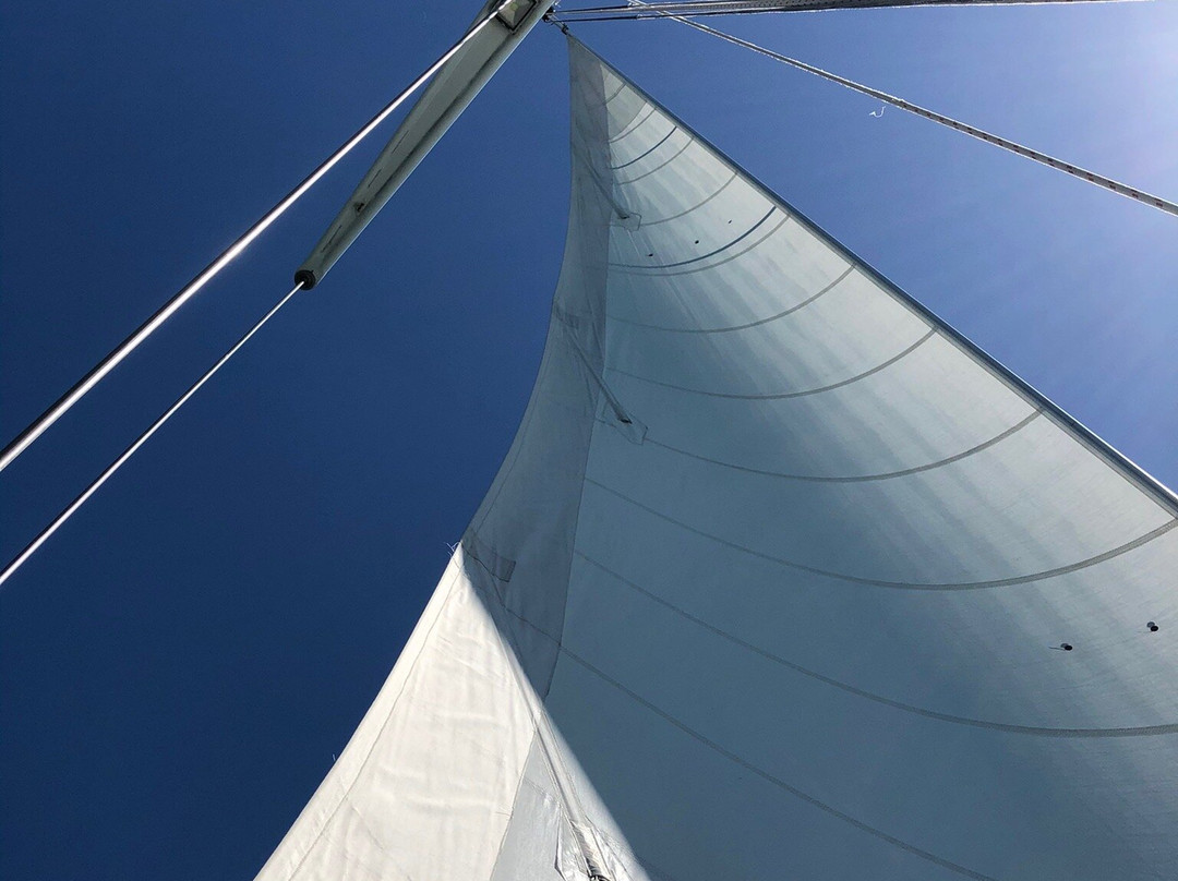 Pilgrim Magnetic Island-Nelly Bay必去景点