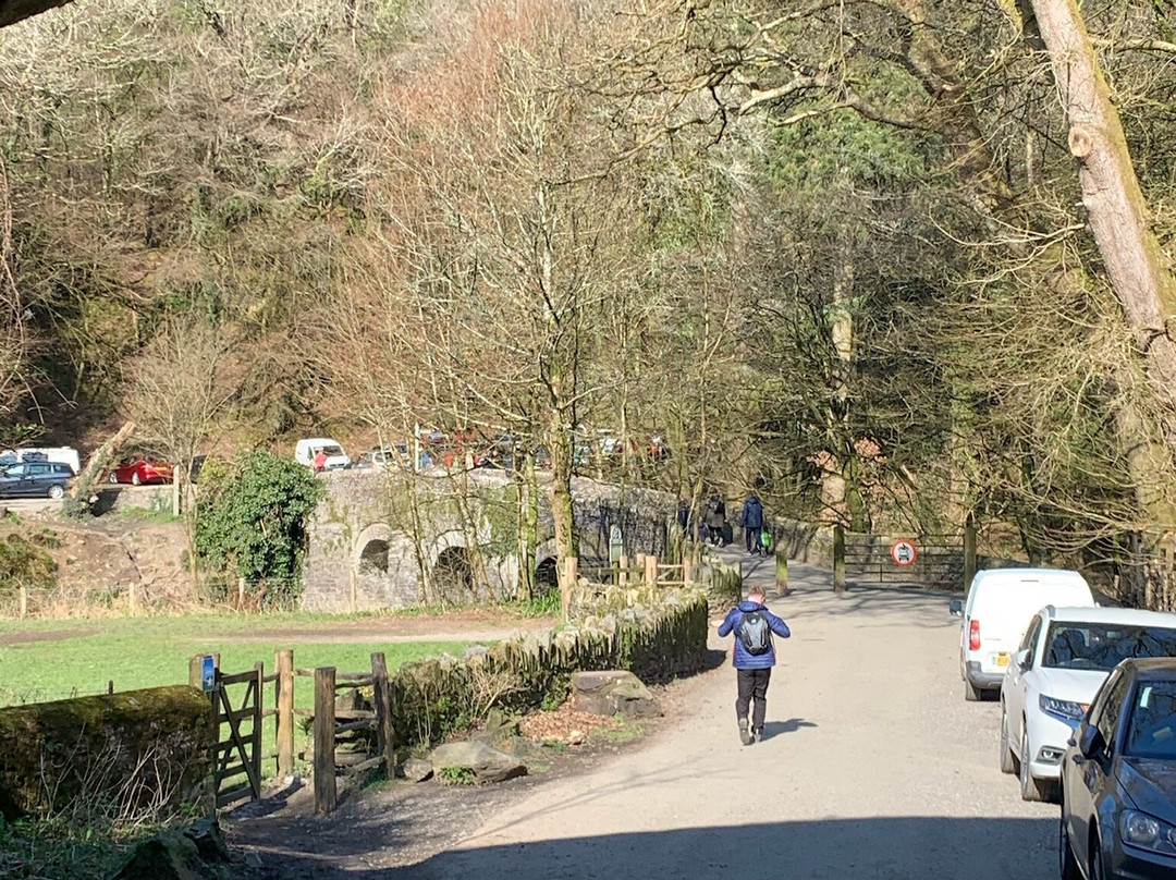 Plym Valley Cycle Trail-普利茅斯必去景点