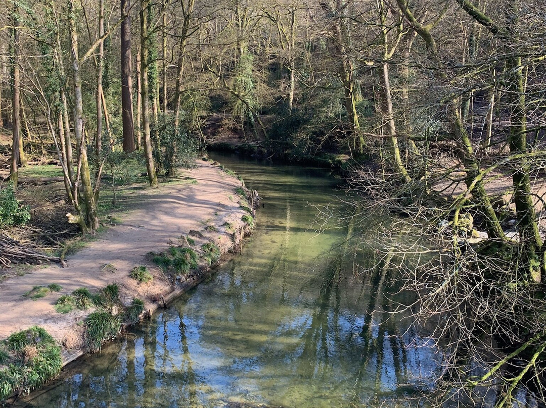 River Plym景点图片
