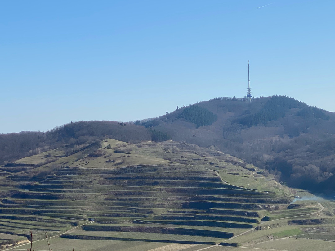 Mondhalde景点图片