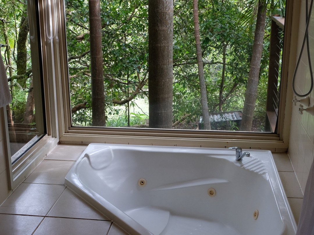 Kondalilla Eco Resort主图