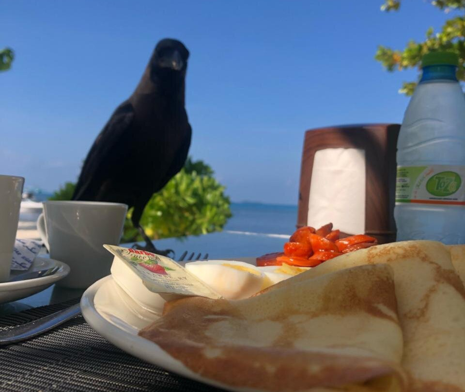 Endheri Sunset Dhangethi主图