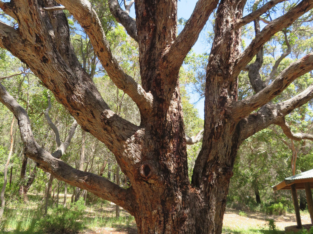 Porongurup National Park-Mount Barker必去景点
