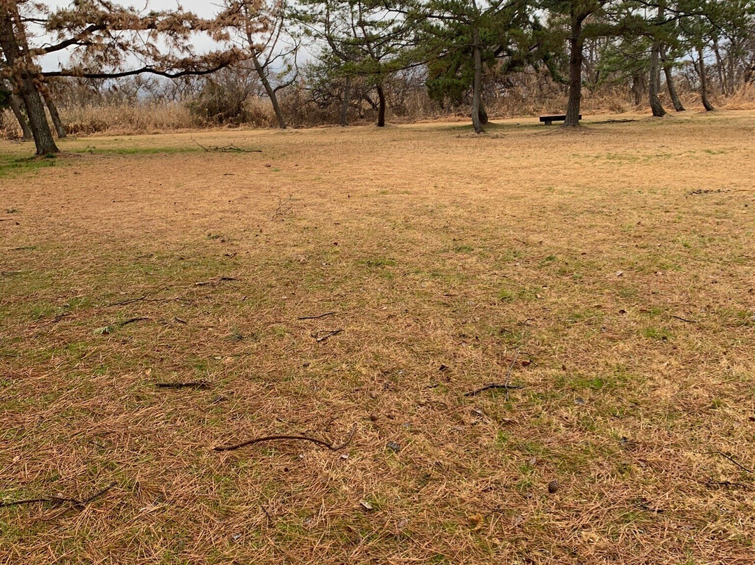 Nagisa Park-守山市必去景点