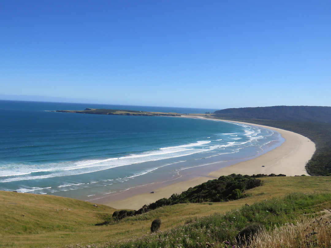 Florence Hill Lookout-Papatowai必去景点