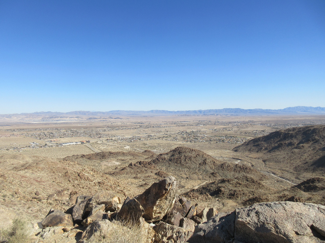 49 Palms Canyon Trail-约书亚树国家公园必去景点