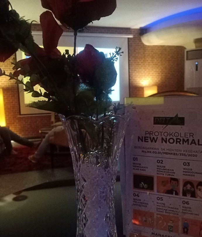 Delta Spa & Lounge Pontianak-坤甸必去景点