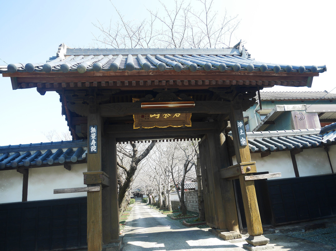 Muryoju-in Temple景点图片
