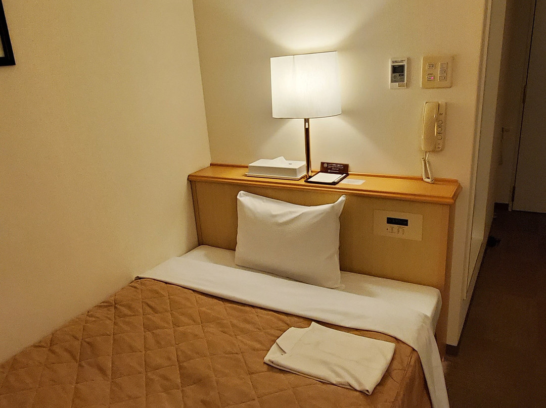 熊本荒生卡梅诺伊酒店主图