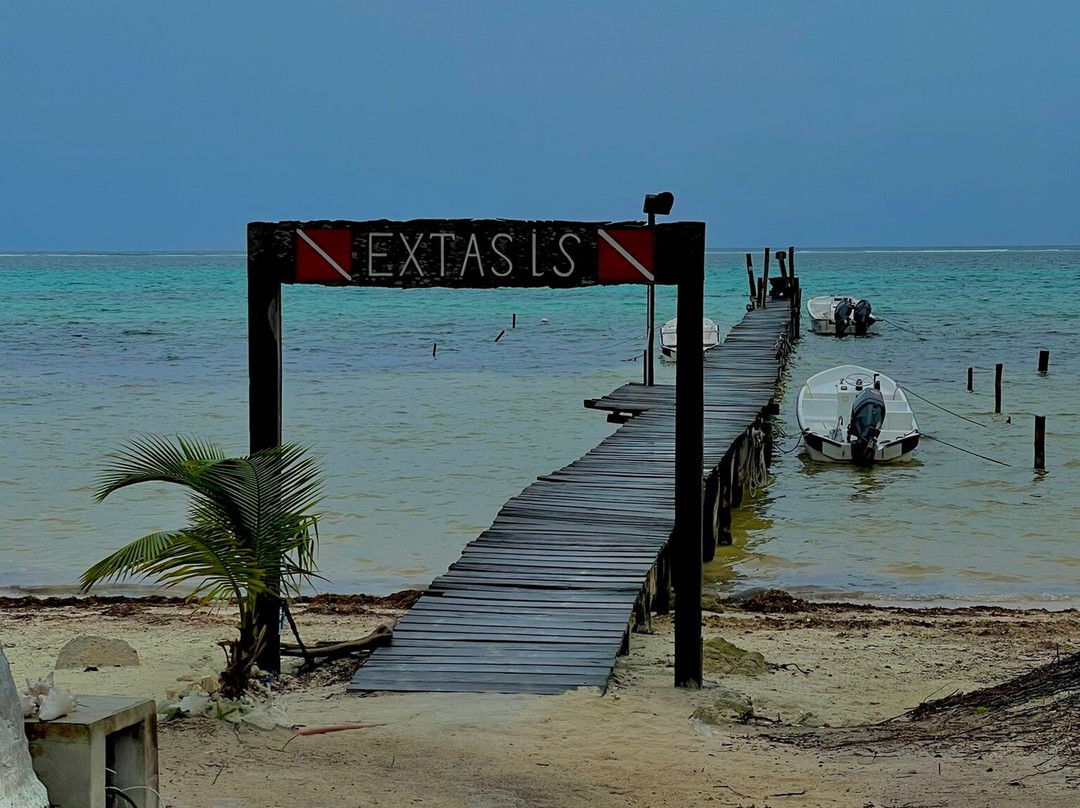 XTC Dive Center-Xcalak必去景点