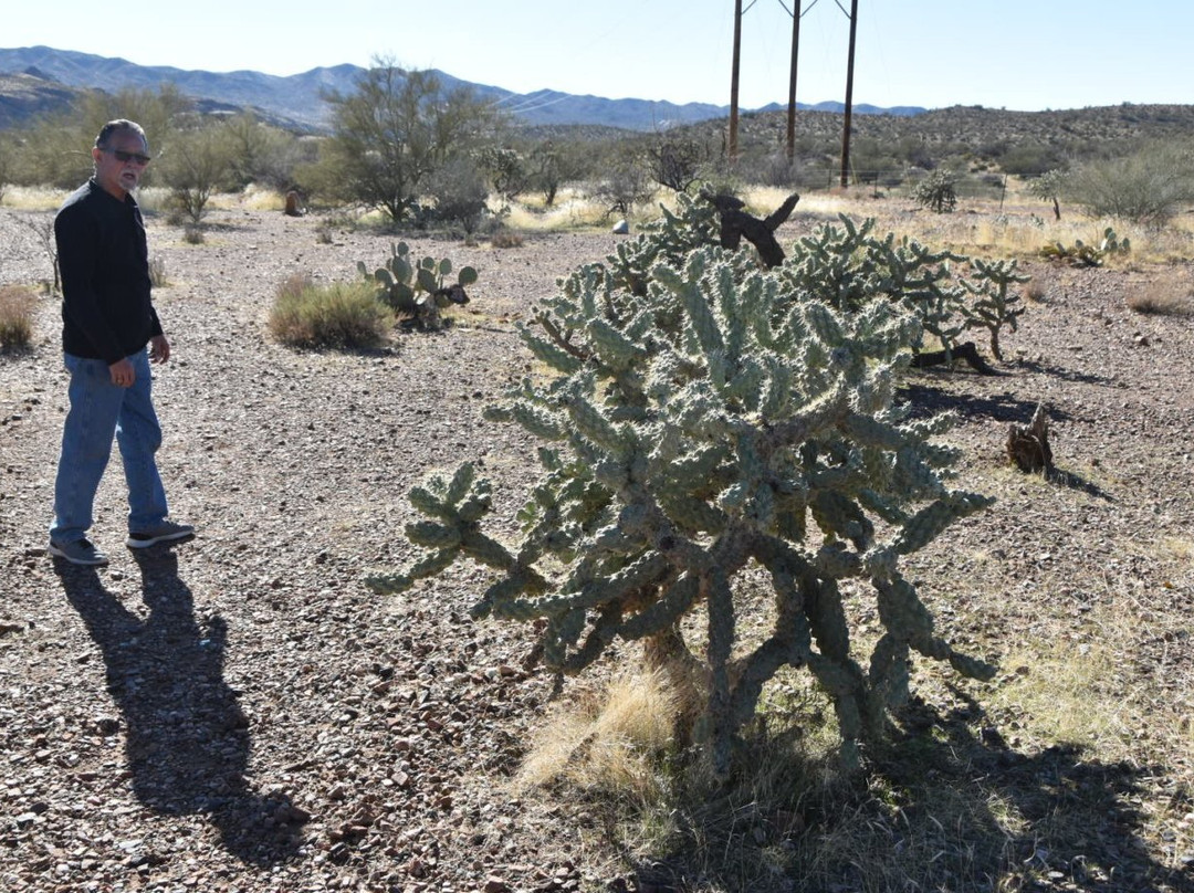 Superior Tour Company-Superior必去景点
