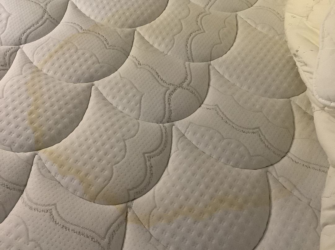 Holiday Inn Express & Suites Milwaukee Nw – Park Place By IHG主图