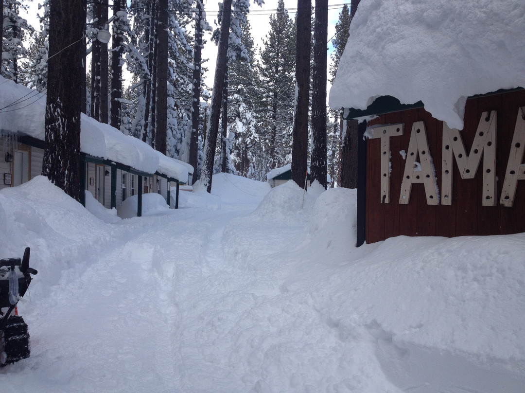 Tamarack Lodge主图