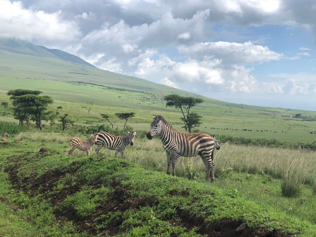 Mindful Adventure Limited-姆万扎必去景点