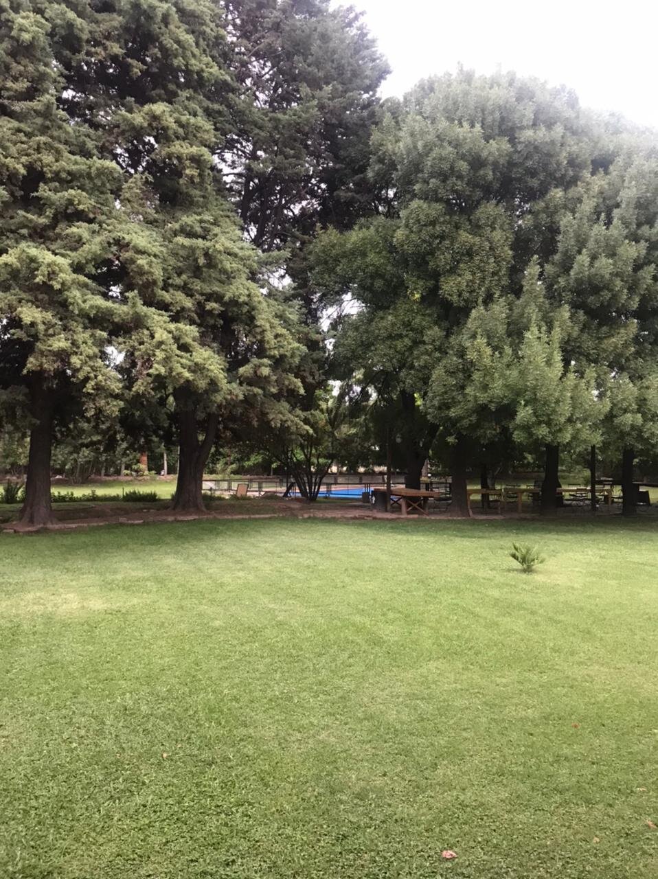 Lujan de Cuyo B&B-泳池
