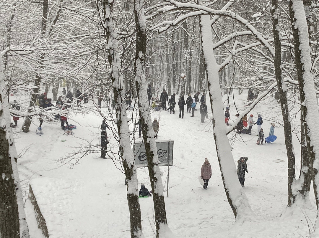 Tamanskaya Lesnaya Dacha景点图片