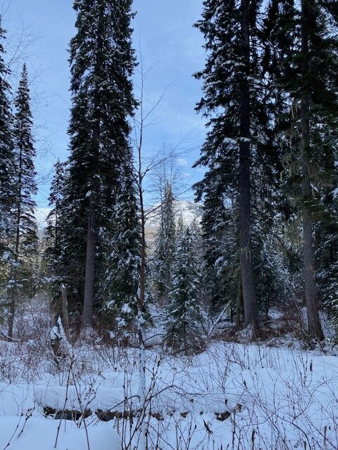 Skiumah Creek Trail-西格拉西尔必去景点