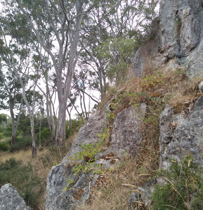Limestone Cliffs Walk-Naracoorte必去景点