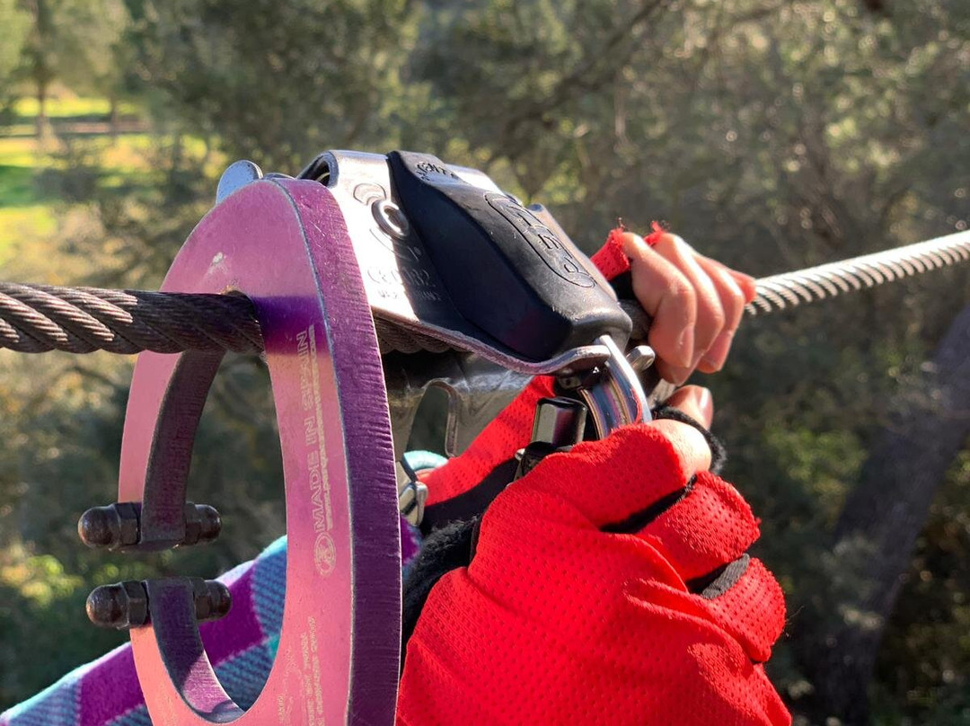 Tirolinas Go! - Mallorca-马洛卡帕尔马必去景点