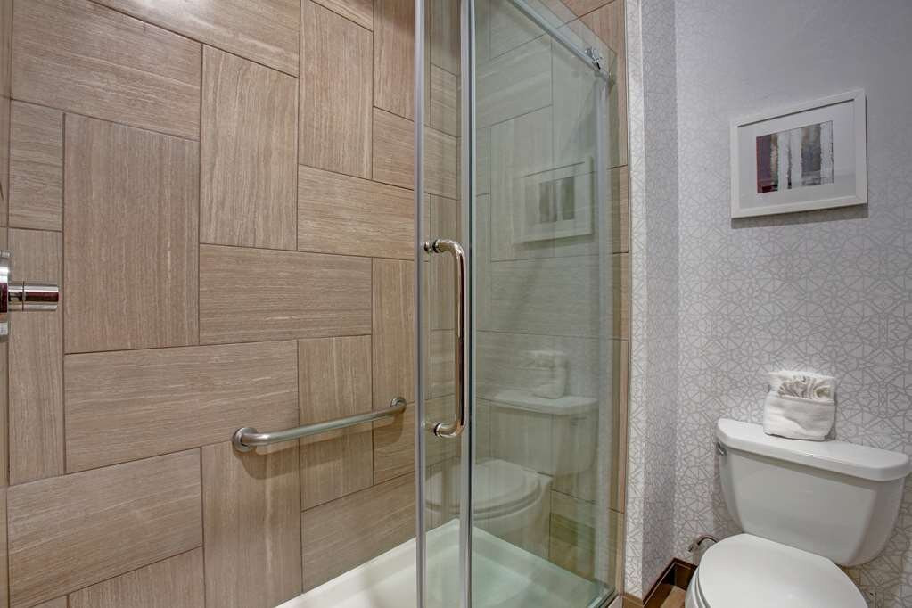 希尔顿欢朋套房酒店-达拉斯迪索托主图