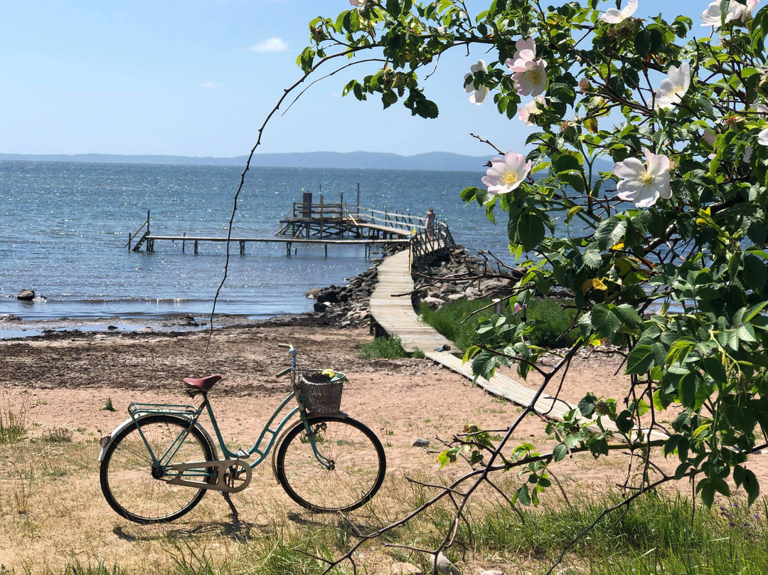 Smaka På Vejbystrand-Vejbystrand必去景点