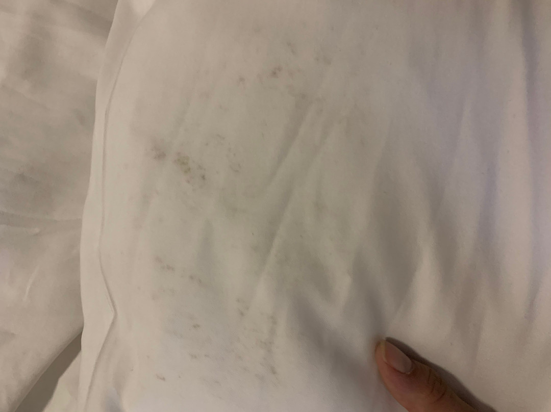 Blue Pelican Motel主图