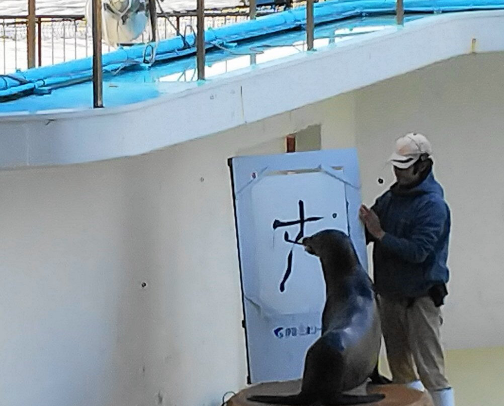 Izu Mito Sea Paradise景点图片