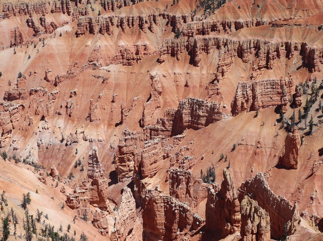 Point Supreme-锡达城必去景点