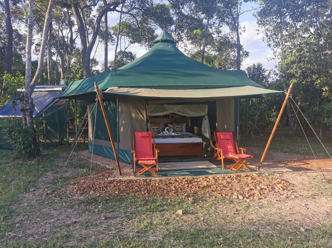 Unbounded Paradise Camp