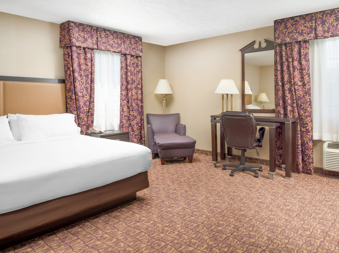 韦纳奇快捷假日酒店主图