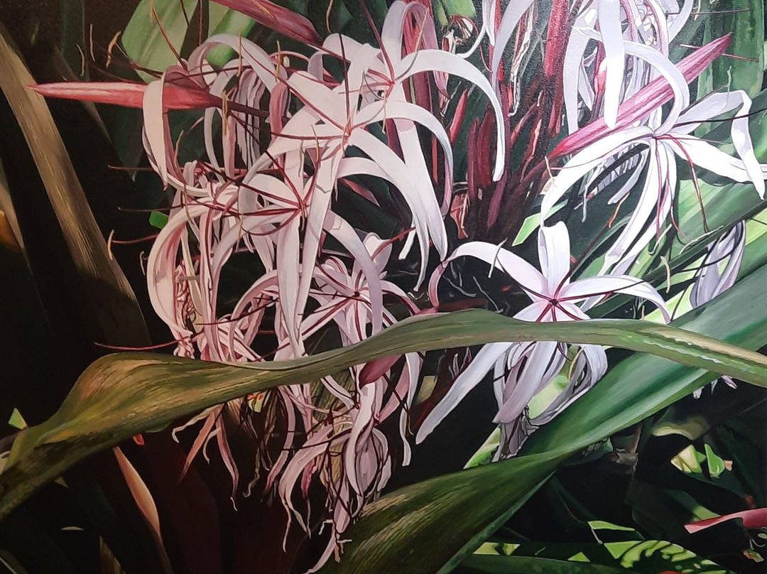 Herring Center for the Arts-布雷登顿必去景点