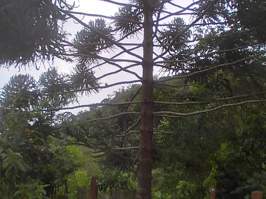 Riacho Das Pedras Pousada主图