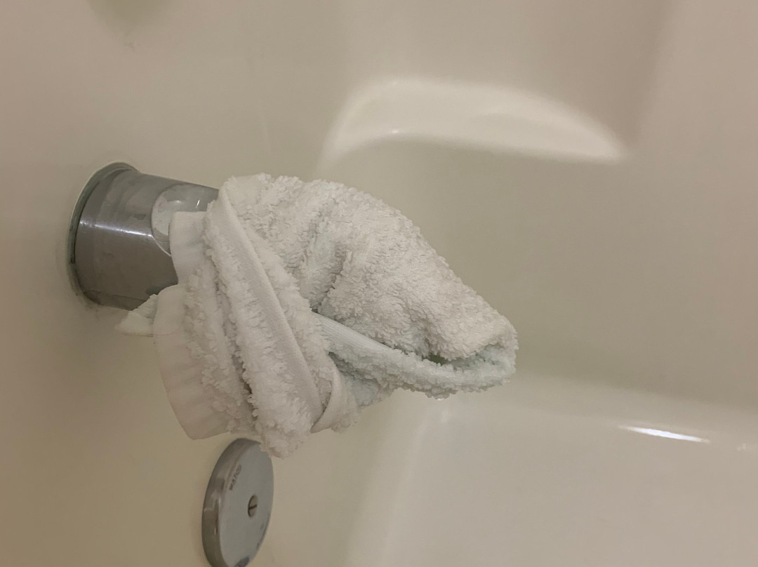 Staybridge Suites Peoria-downtown By IHG主图