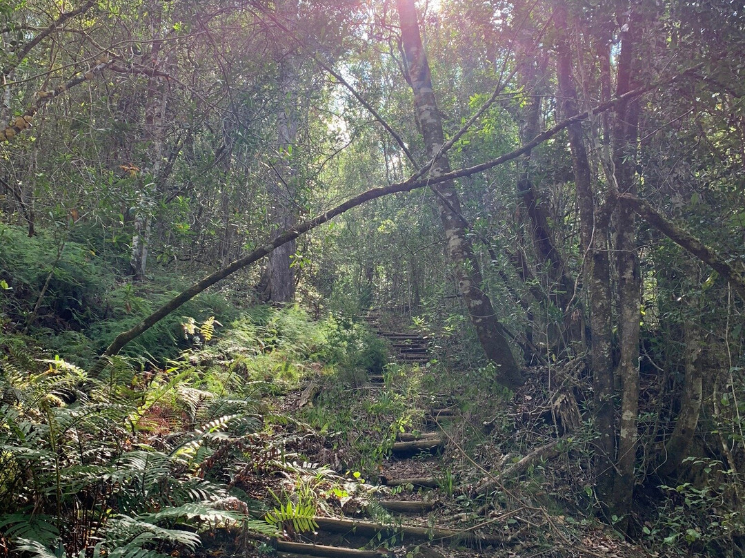 Terblans Nature Walk-克尼斯纳必去景点