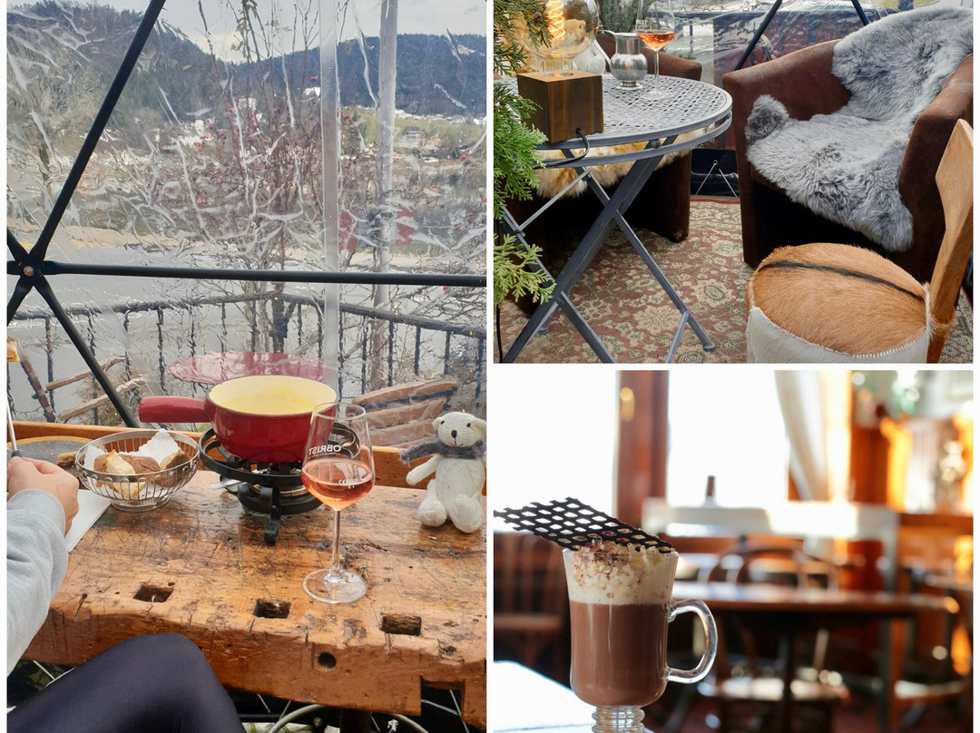 Montricher酒店住宿-Hôtel de la Truite