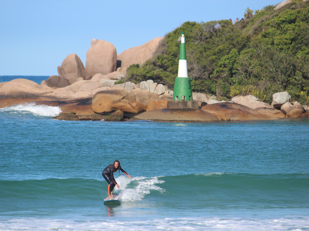 Sea Wolf Surf School-弗洛里亚诺波利斯必去景点