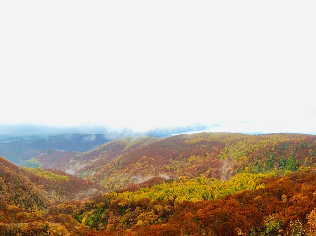 城仓大桥-青森市必去景点